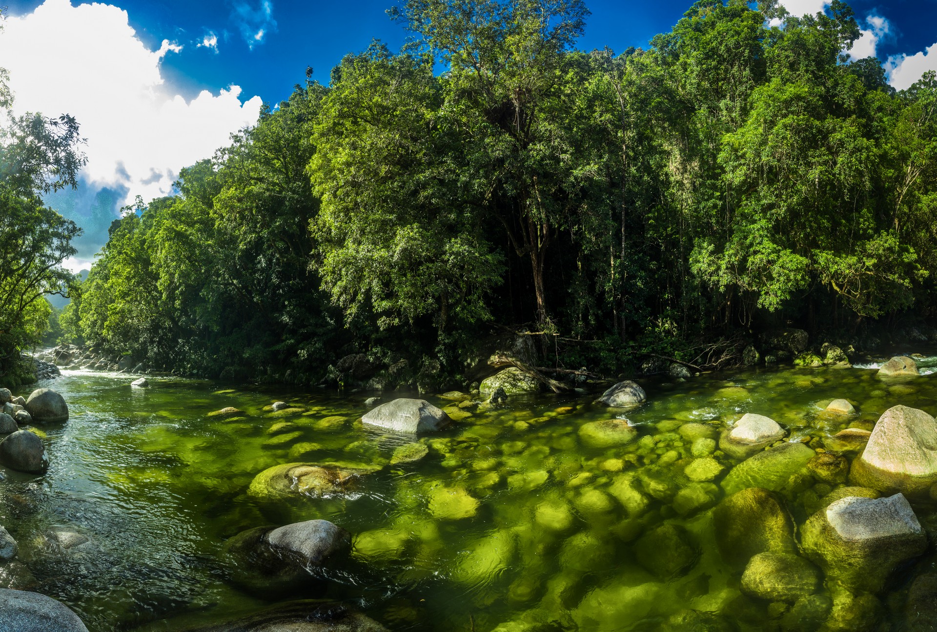 Iconic Mossman Gorge